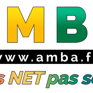 AMBA Marseille, Création de site internet