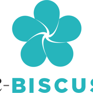e-BISCUS Lyon, Création de site internet