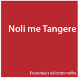 Noli me Tangere Paris 15, Comite d'entreprise
