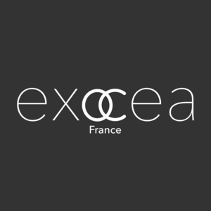 EXOCEA Grenoble, Conseiller général
