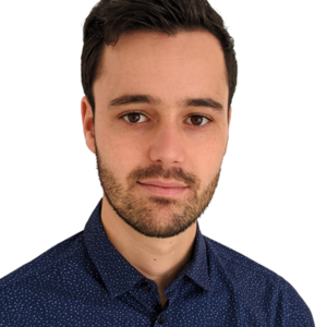 Adrien De Sousa Perpignan, Gestion, Conseiller général, Entreprise de service