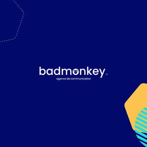 Bad Monkey Limoges, Agence de communication, Agence web, Création de site internet