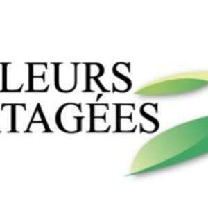 VALEURS PARTAGÉES Toulouse, Conseil en gestion de patrimoine, Courtier assurances, Courtier crédit, Courtier en crédit, Courtier financier, Courtier immobilier