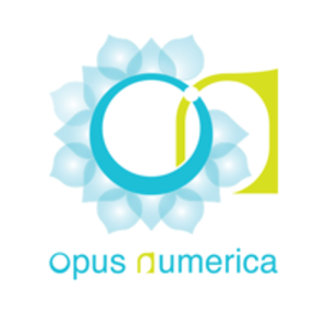 Opus Numerica - Rita Cuzzupi Avignon, Agence marketing, Agence web