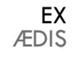 EX AEDIS Conseil Paris 13, Entreprise de service, Consultant