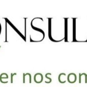 LC CONSULTING Lyon, Consultant