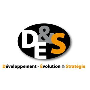 Développement.Evolution & Stratégie Boulogne-Billancourt, Consultant