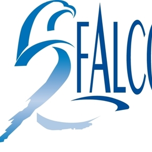 FALCO Saint-Jouvent, Bureau d'études, Entreprise de service