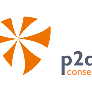 P2D CONSEIL Bugnicourt, Entreprise informatique