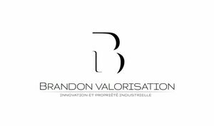 BRANDON VALORISATION Paris 2, Consultant