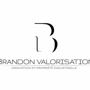 BRANDON VALORISATION Paris 2, Consultant