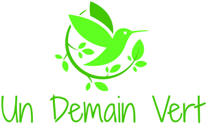 Un Demain Vert Strasbourg, Consultant