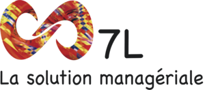 7L - La solution managériale MI TRANSMISSION Montpellier, Consultant