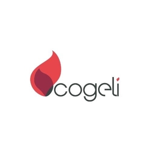 COGELI Falaise, Poeles, poeles à bois, Chauffagiste