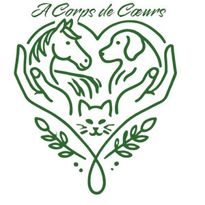 A Corps de Coeurs - Elodie FRICAUD-VICINI La Genête, TPE