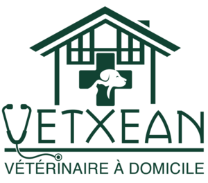 Vetxean vétérinaire à domicile Halsou, Vétérinaire