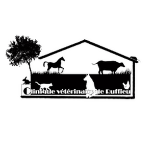 Clinique vétérinaire de Ruffieu Nivolas-Vermelle, Clinique vétérinaire