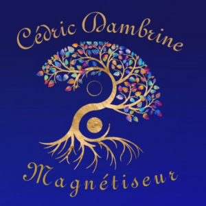 Cédric DAMBRINE Troyes, TPE