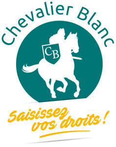 Chevalier Blanc Paris 8, TPE